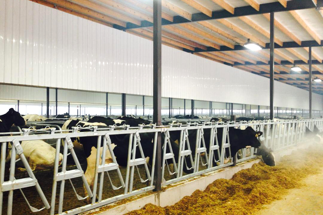 Agrilite PVC Panels