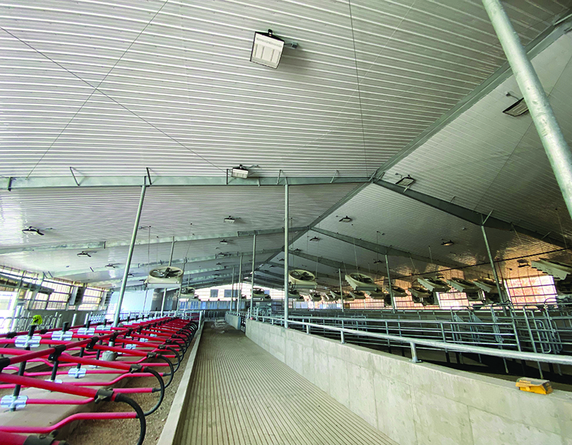 agrilite pvc panels interior barn application