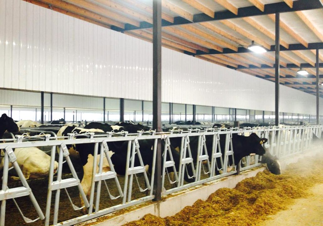 Agrilite PVC Panels