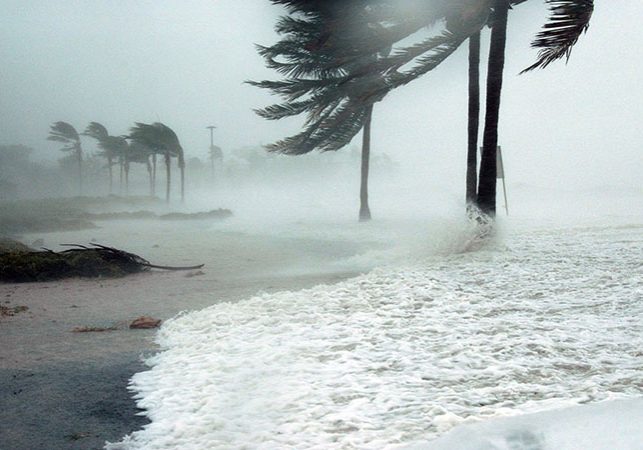 hurrigal hurricane protection for windows and doors